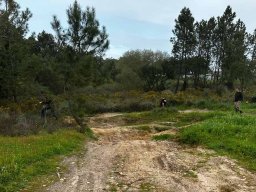 2024-02-25 Passeio TT Na Barragem de Salva Terra de Magos